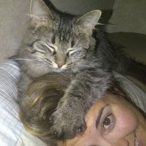 Meet your Posher, Katy